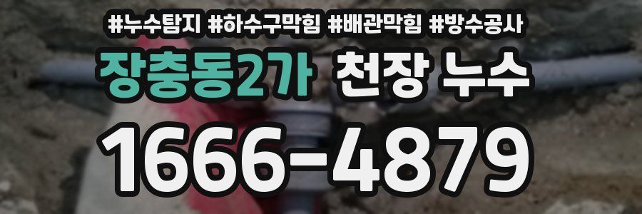 장충동2가 천장 누수