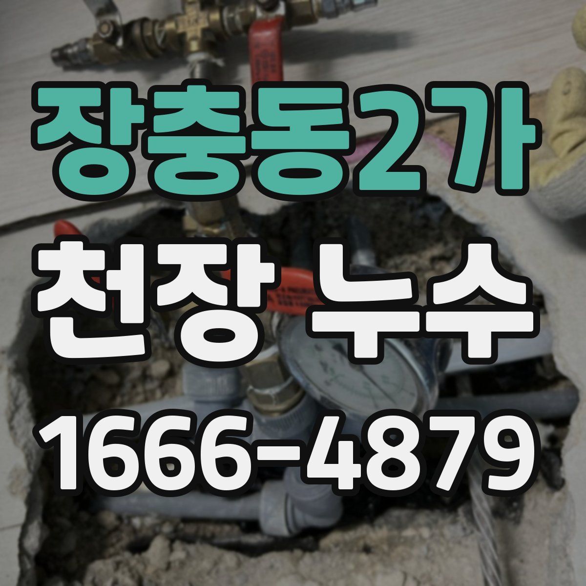 장충동2가 천장 누수