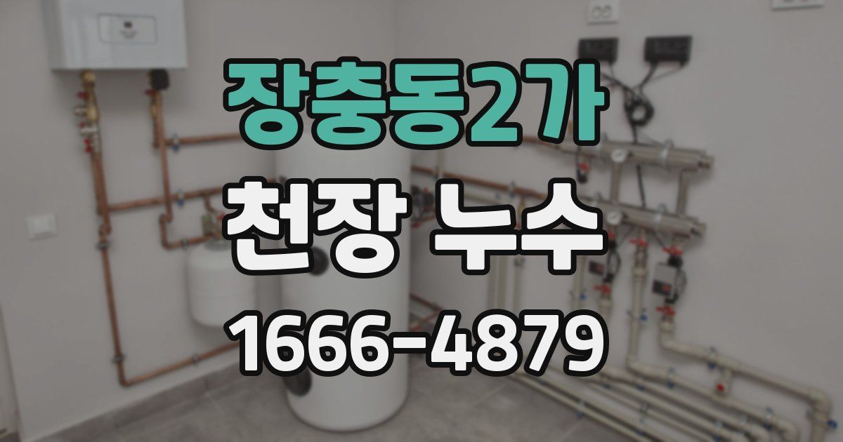 장충동2가 천장 누수