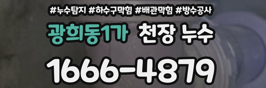 광희동1가 천장 누수