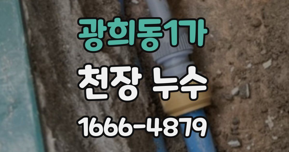 광희동1가 천장 누수