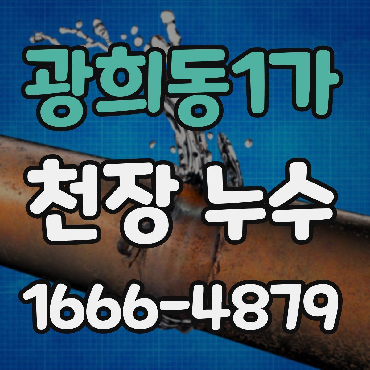 광희동1가 천장 누수