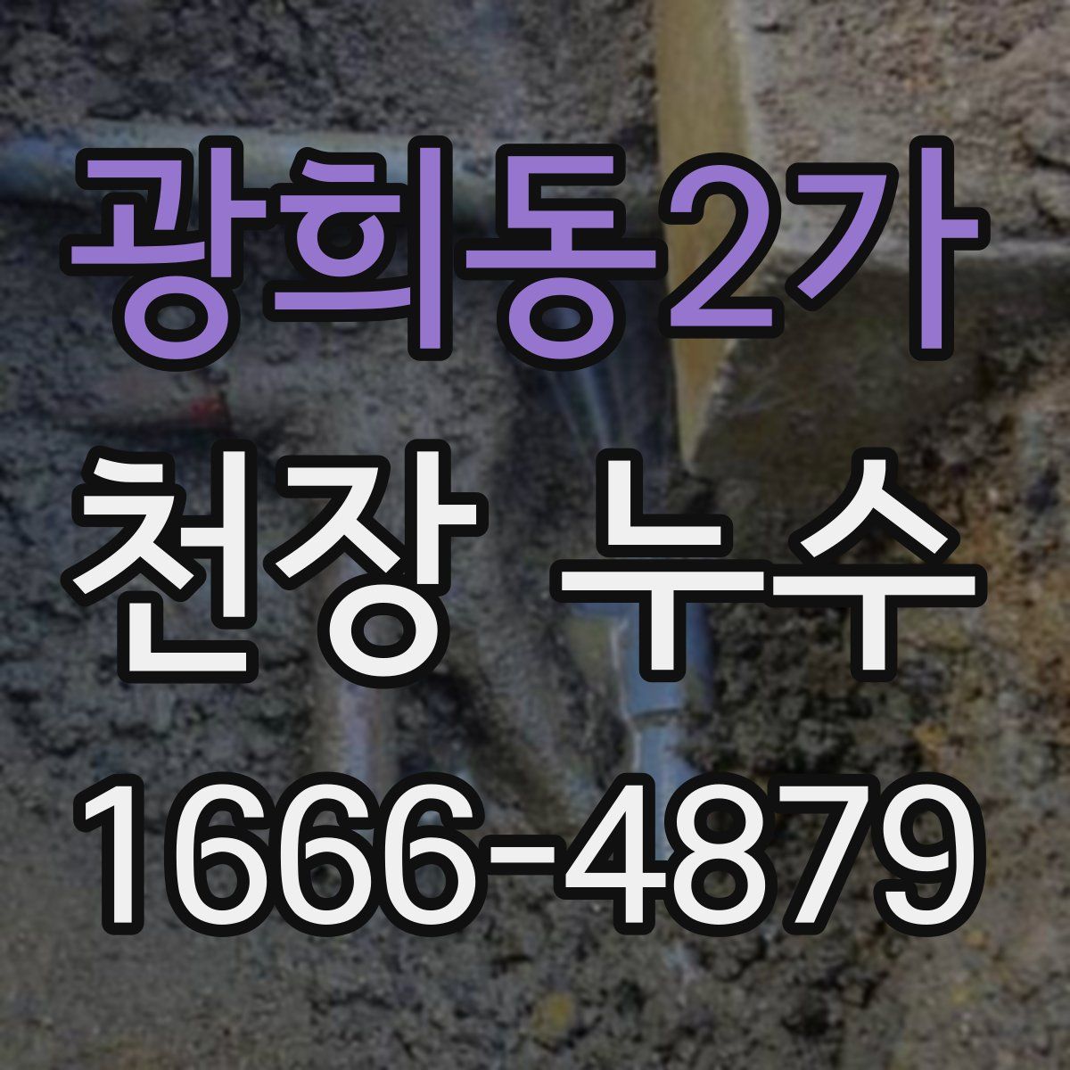 광희동2가 천장 누수