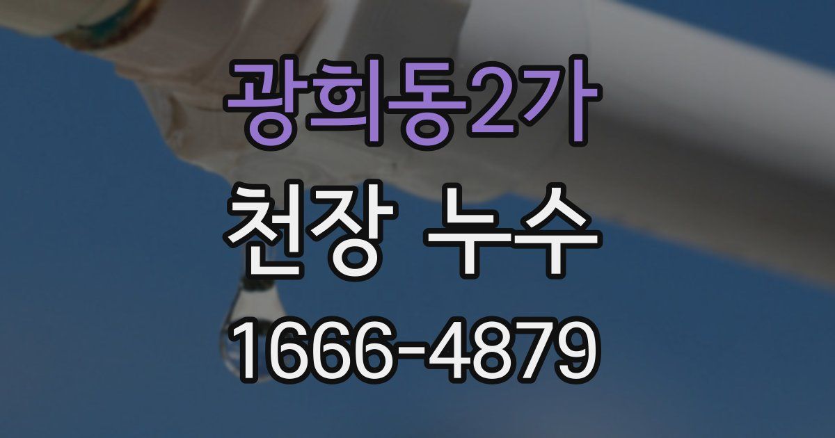 광희동2가 천장 누수