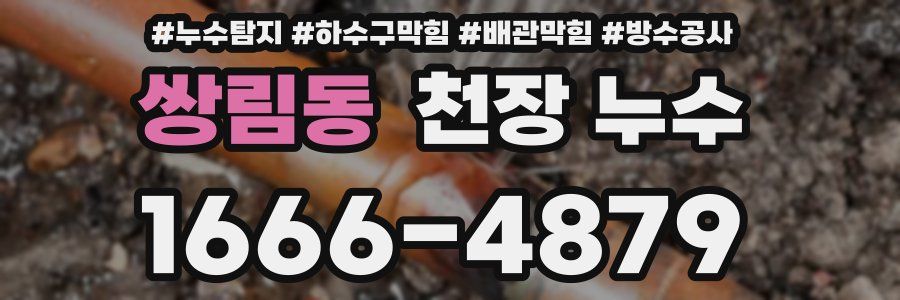 쌍림동 천장 누수