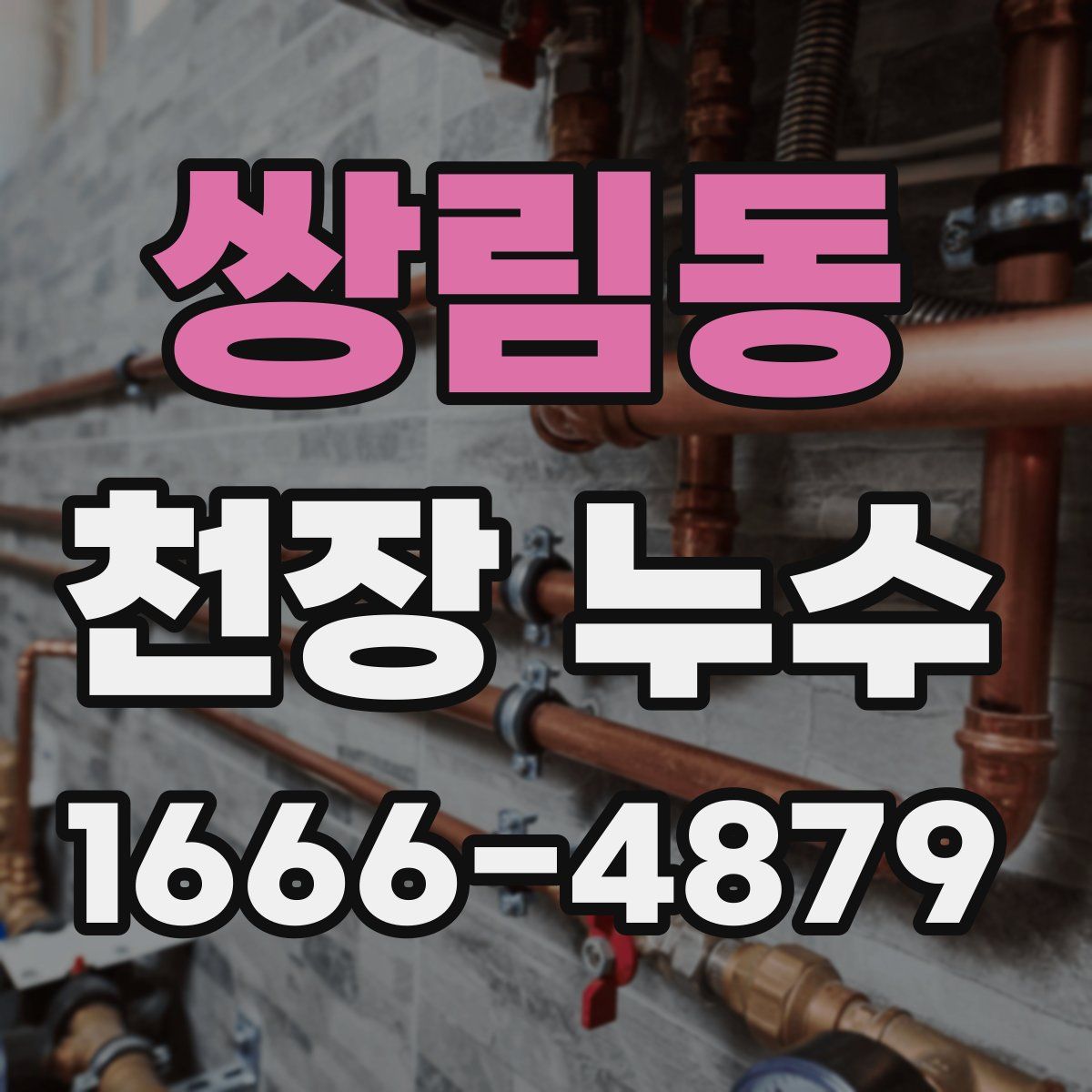쌍림동 천장 누수