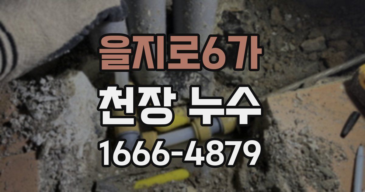 을지로6가 천장 누수