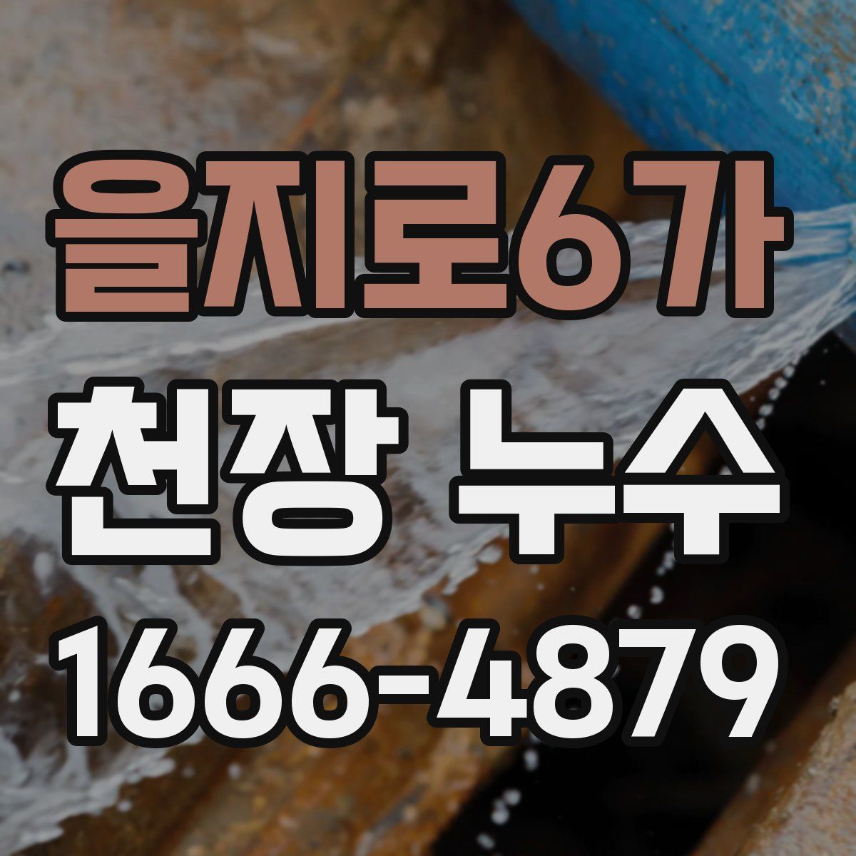 을지로6가 천장 누수