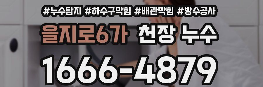 을지로6가 천장 누수