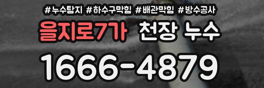 을지로7가 천장 누수