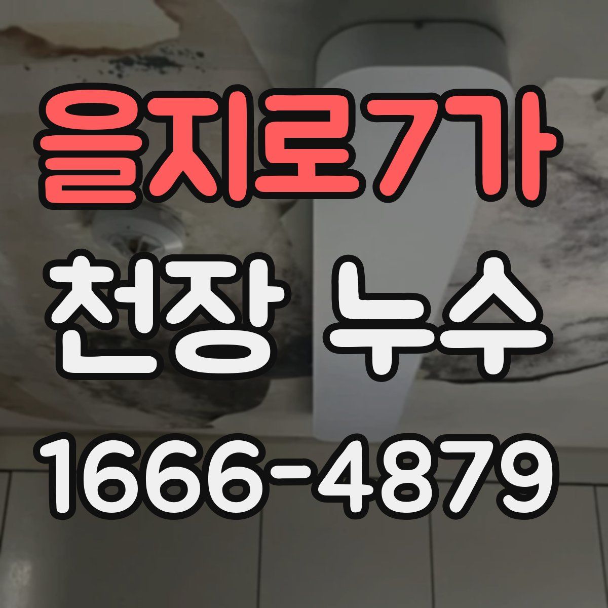 을지로7가 천장 누수