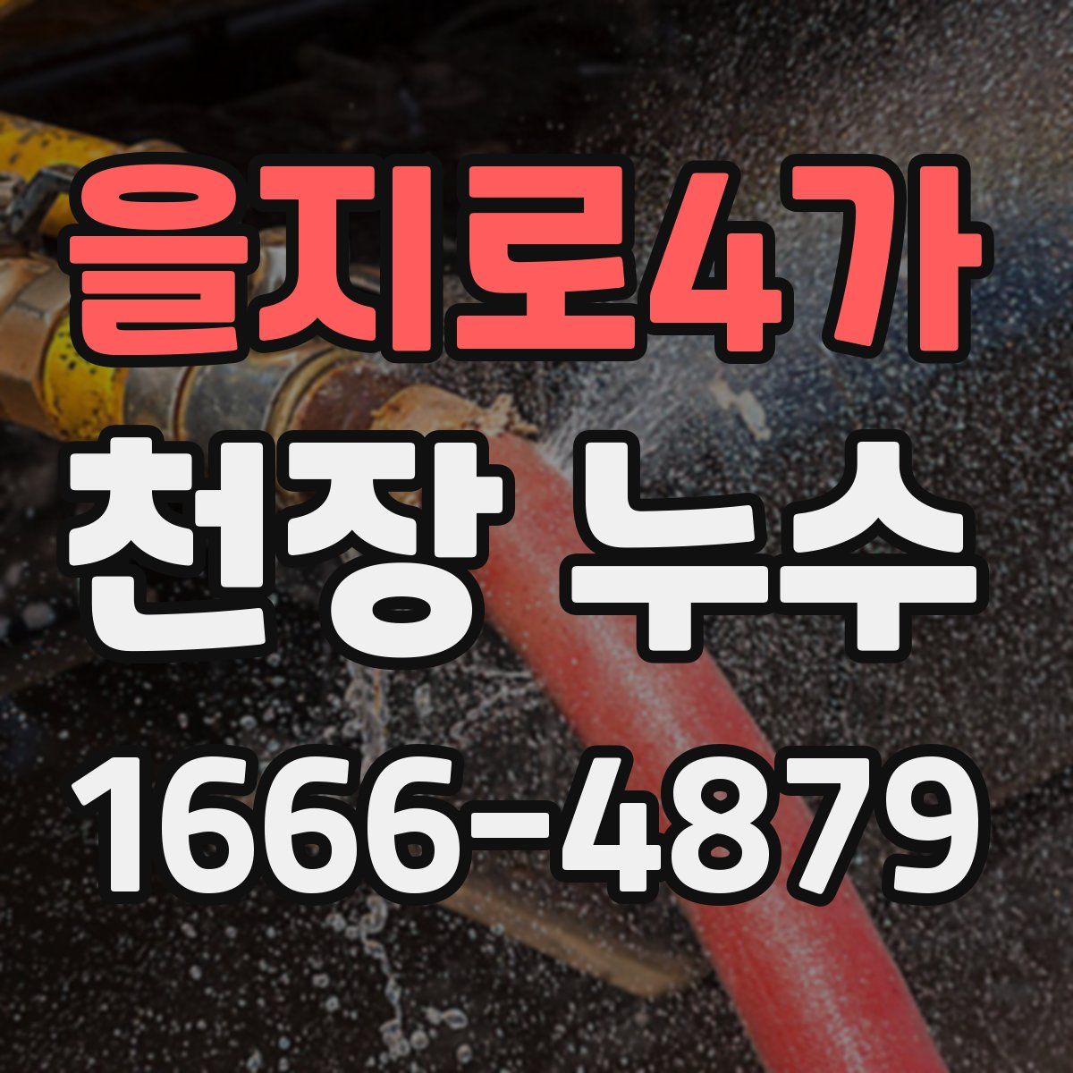 을지로4가 천장 누수