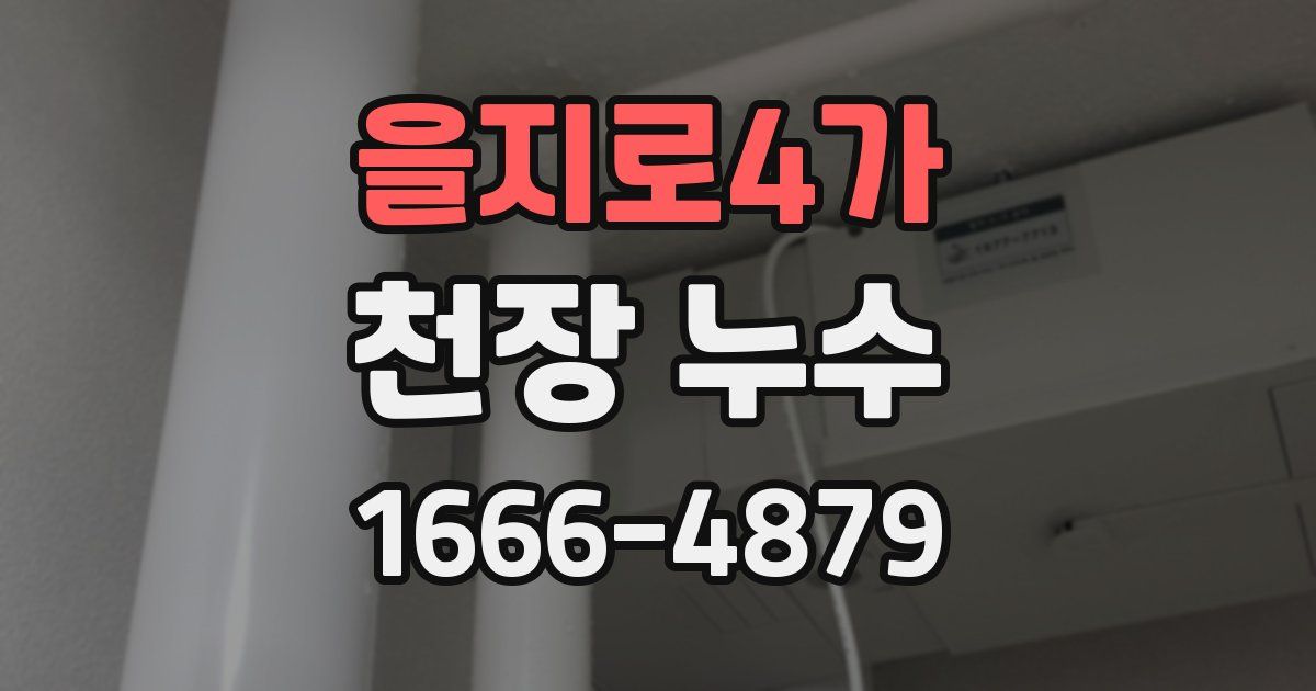 을지로4가 천장 누수