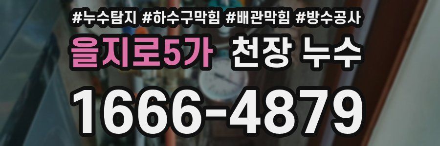 을지로5가 천장 누수