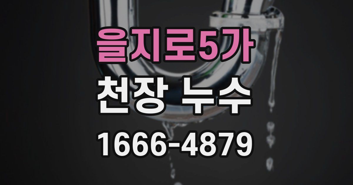 을지로5가 천장 누수