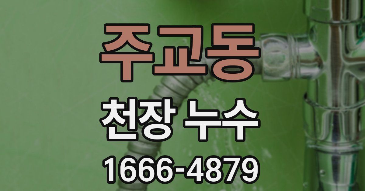 주교동 천장 누수