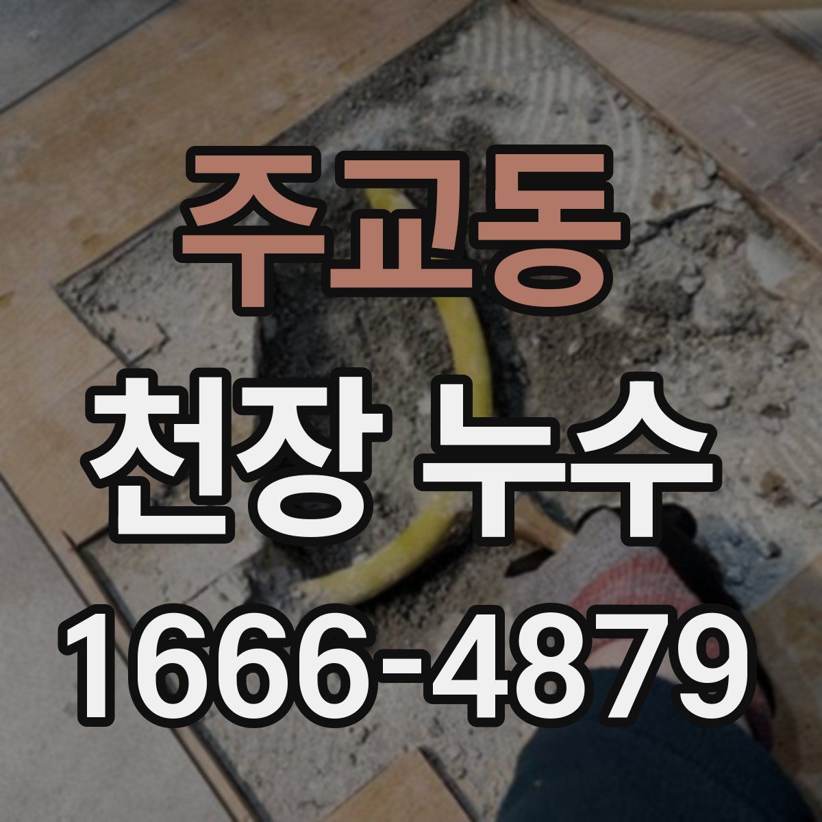 주교동 천장 누수