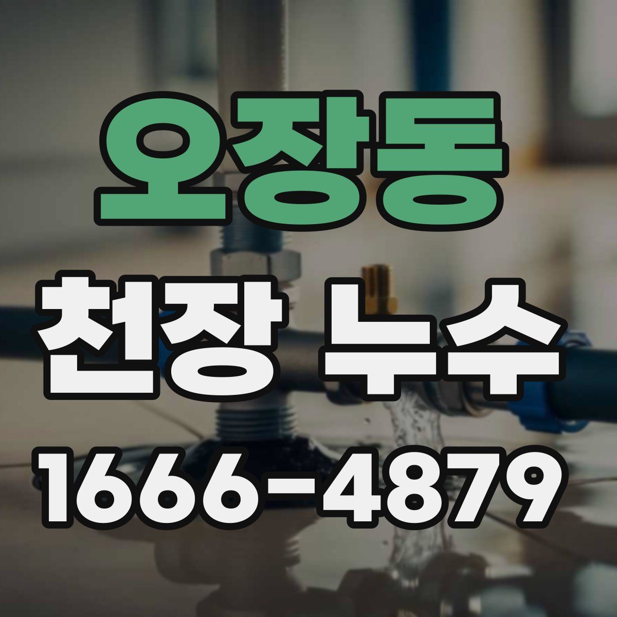 오장동 천장 누수