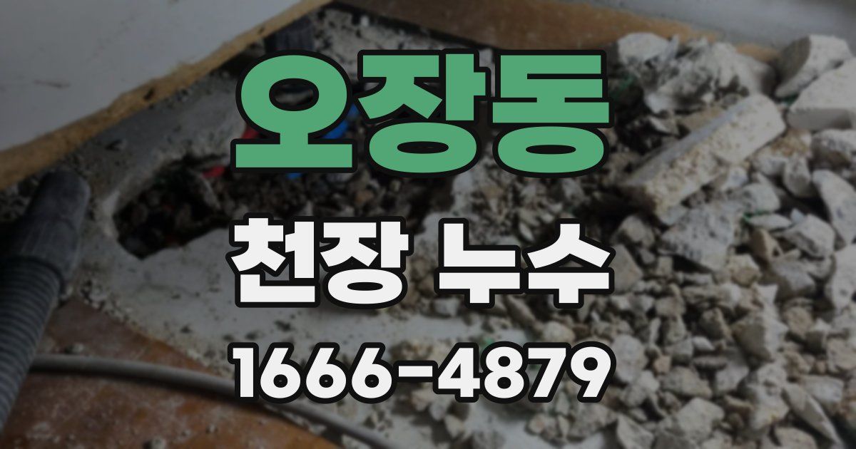 오장동 천장 누수