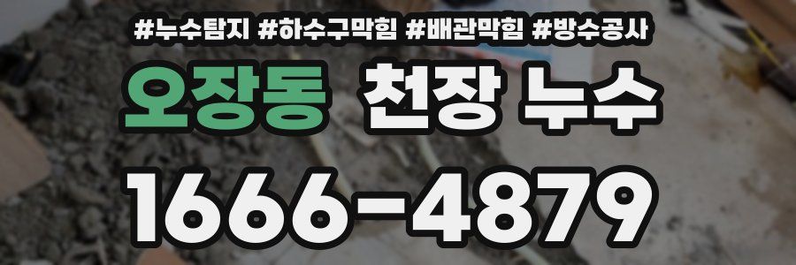 오장동 천장 누수