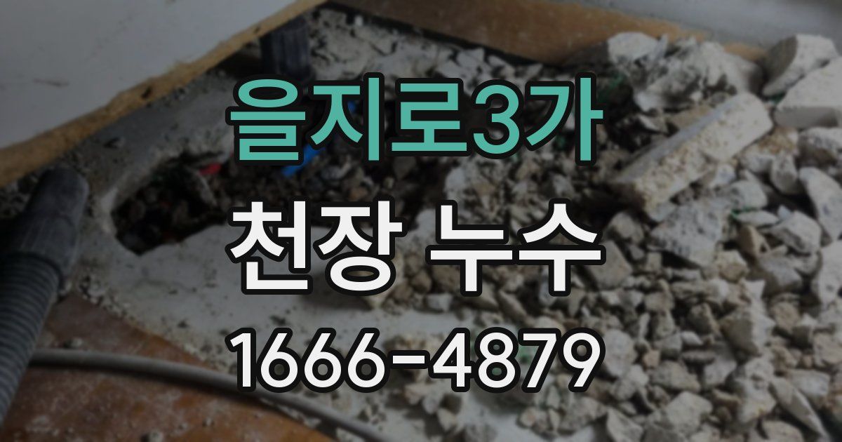 을지로3가 천장 누수