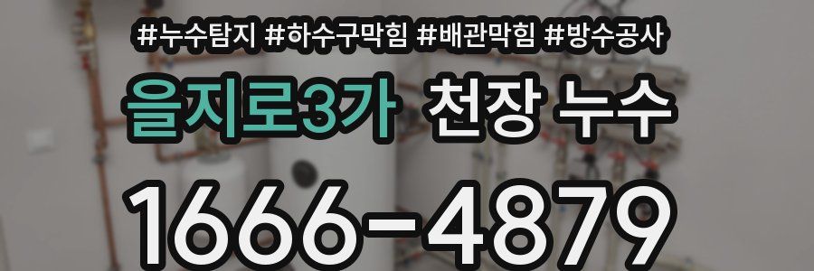 을지로3가 천장 누수