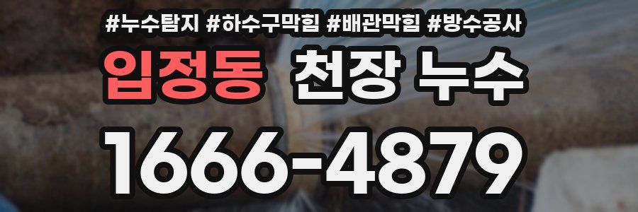 입정동 천장 누수