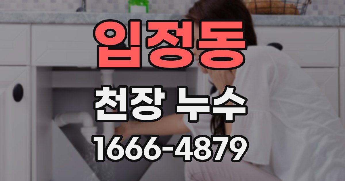 입정동 천장 누수
