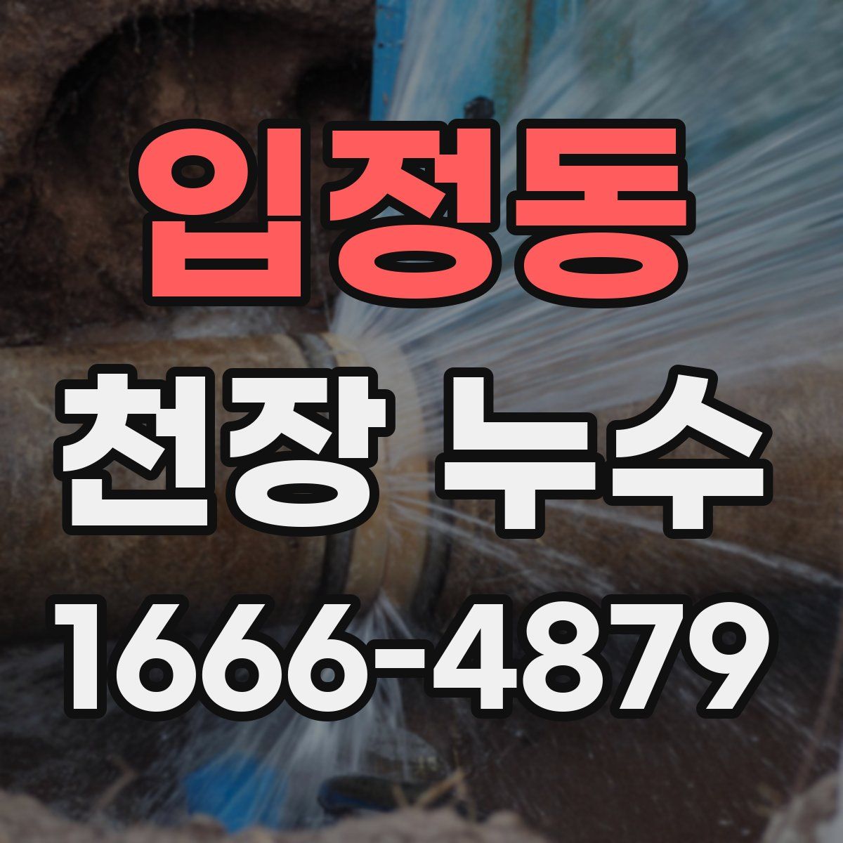 입정동 천장 누수