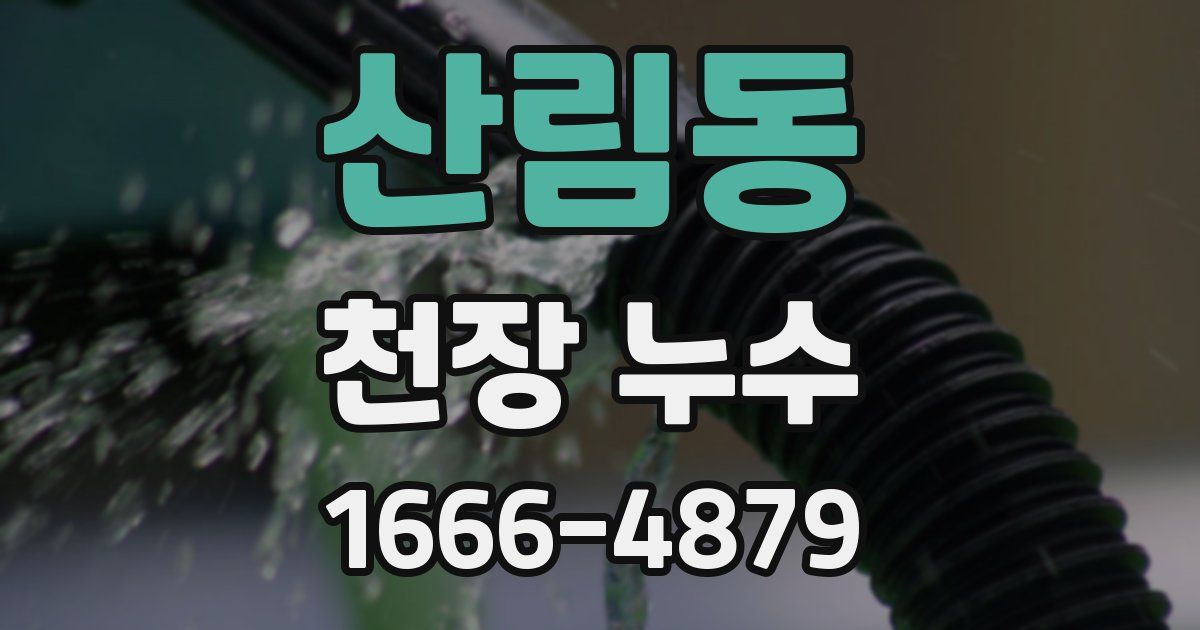 산림동 천장 누수