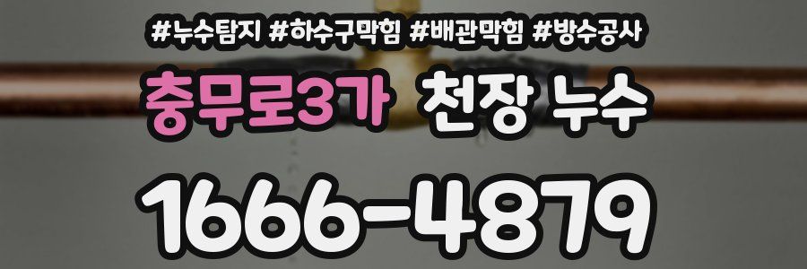 충무로3가 천장 누수