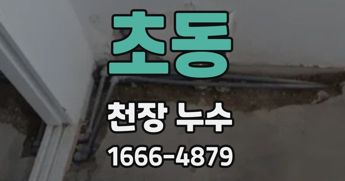 초동 천장 누수