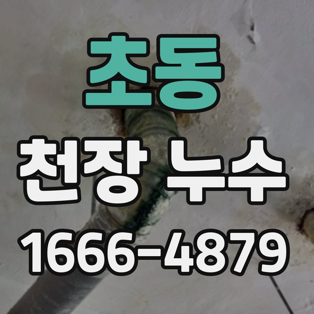 초동 천장 누수