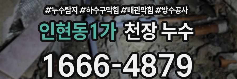 인현동1가 천장 누수