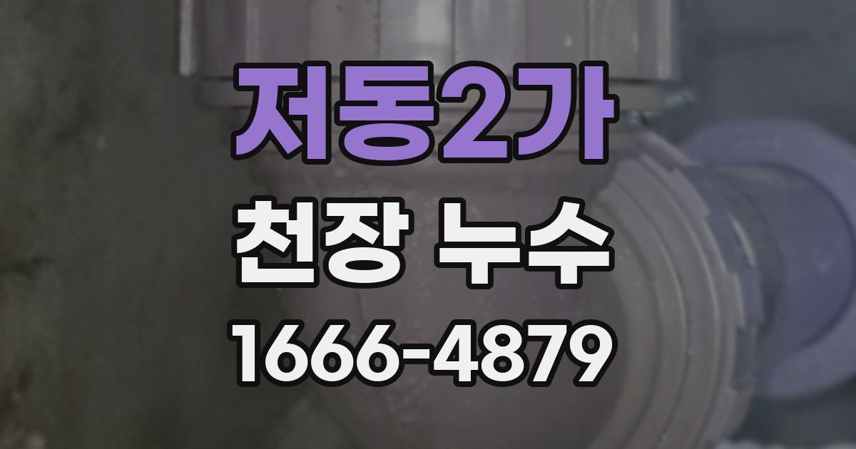 저동2가 천장 누수