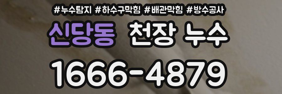 신당동 천장 누수