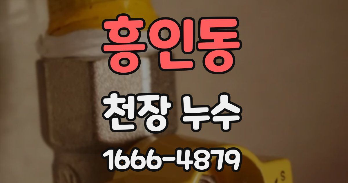 흥인동 천장 누수