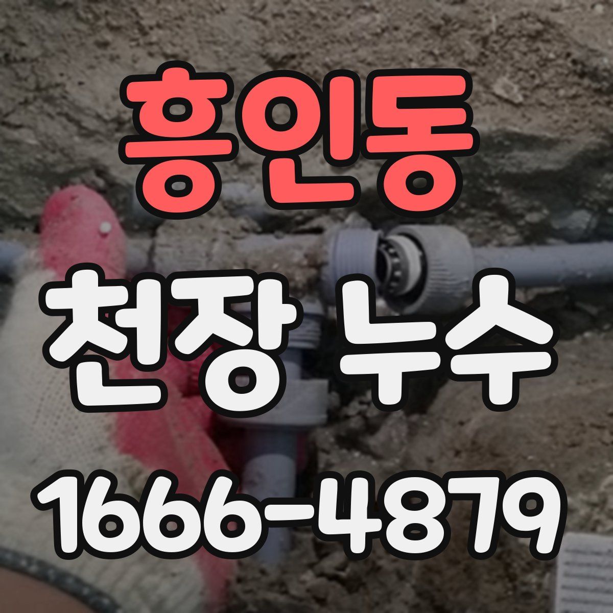 흥인동 천장 누수