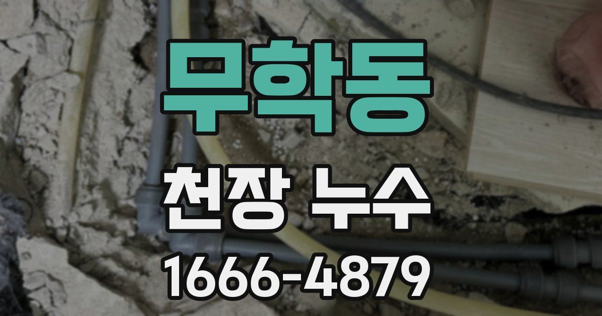 무학동 천장 누수