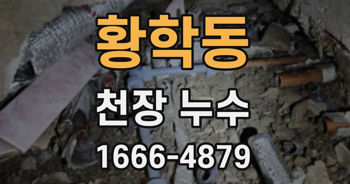 황학동 천장 누수