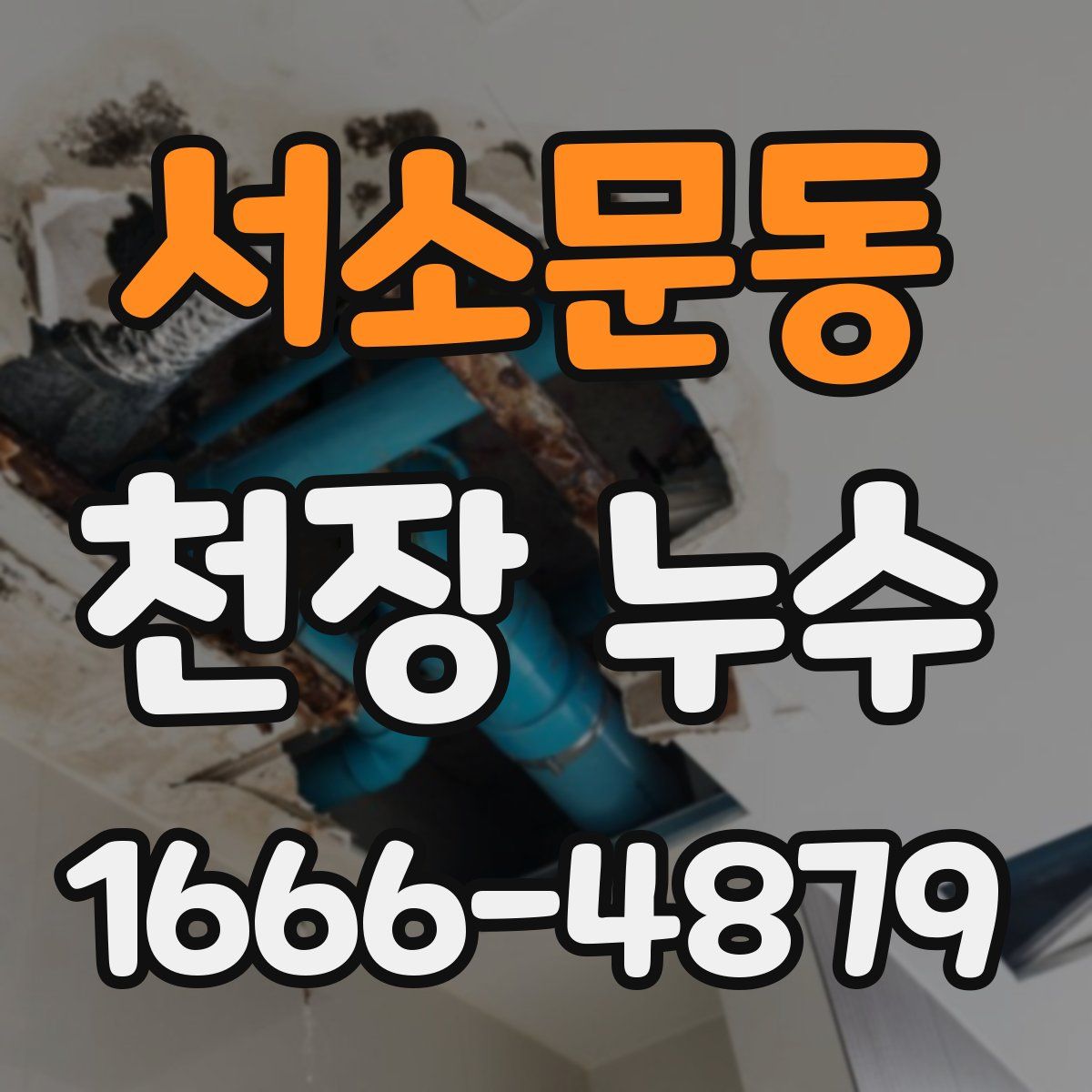 서소문동 천장 누수