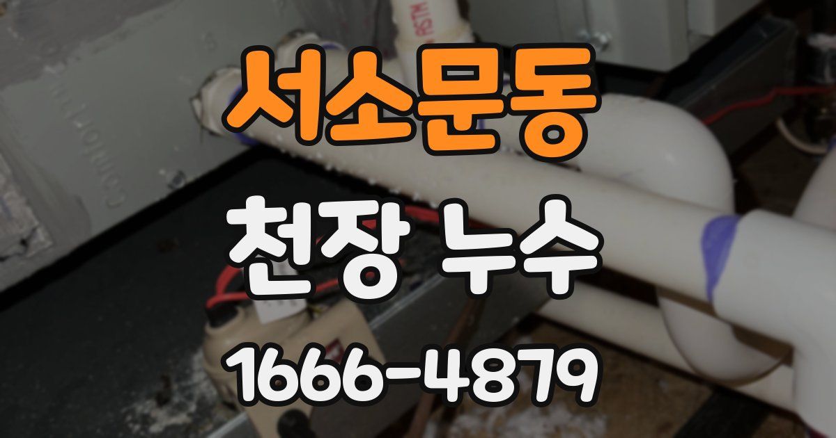 서소문동 천장 누수