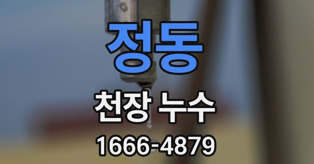정동 천장 누수