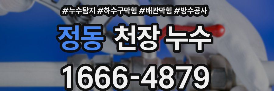 정동 천장 누수