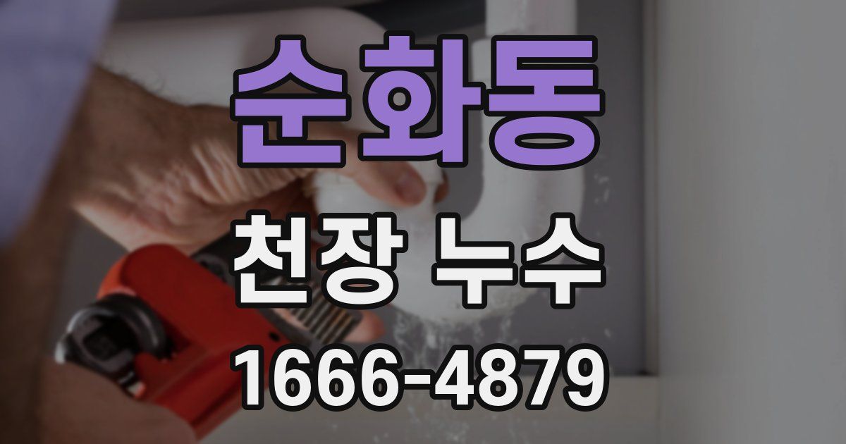 순화동 천장 누수