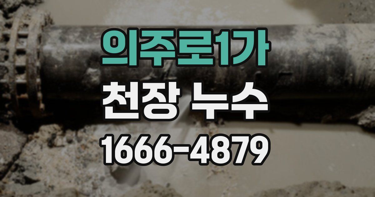 의주로1가 천장 누수