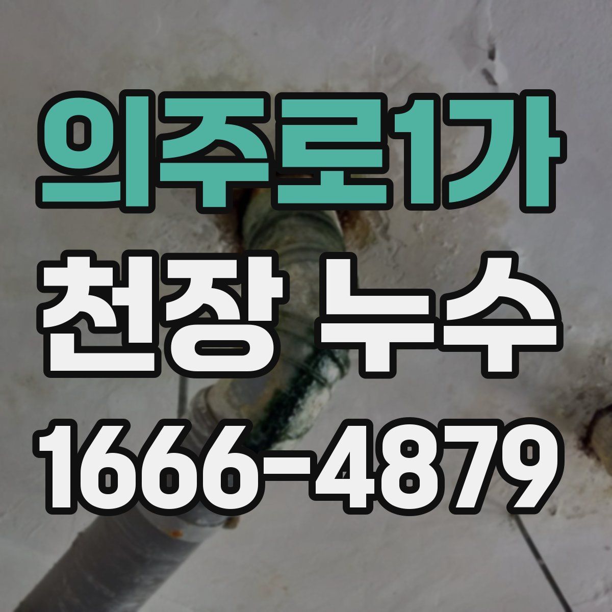 의주로1가 천장 누수
