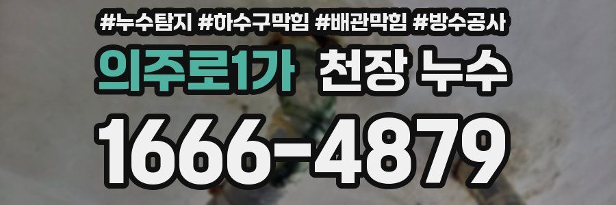 의주로1가 천장 누수