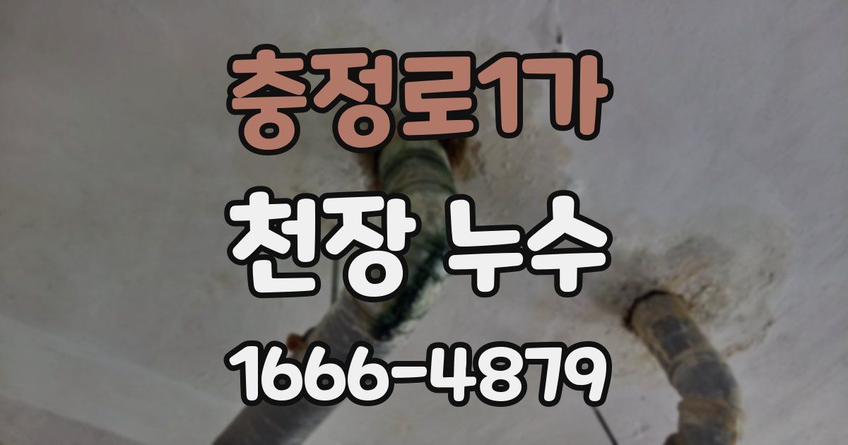 충정로1가 천장 누수