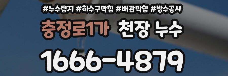 충정로1가 천장 누수